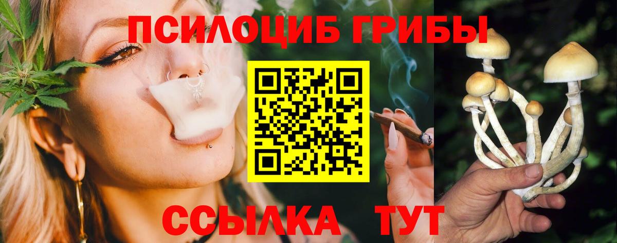 Аргун  даркнет сайт  Вход с VPN  Галлюциногенные грибы GOLDEN TEACHER 
